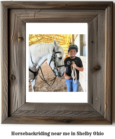 horseback riding near me in Shelby, Ohio